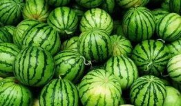 网红吃瓜群怎么进群的,如何轻松加入热门话题聚集地